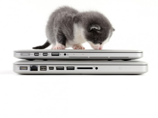 13' Retina MacBook Pro kitten