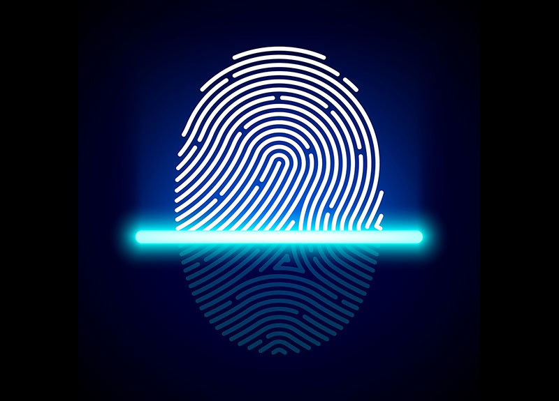 Touch ID будет «размещаться» на всей площади дисплея